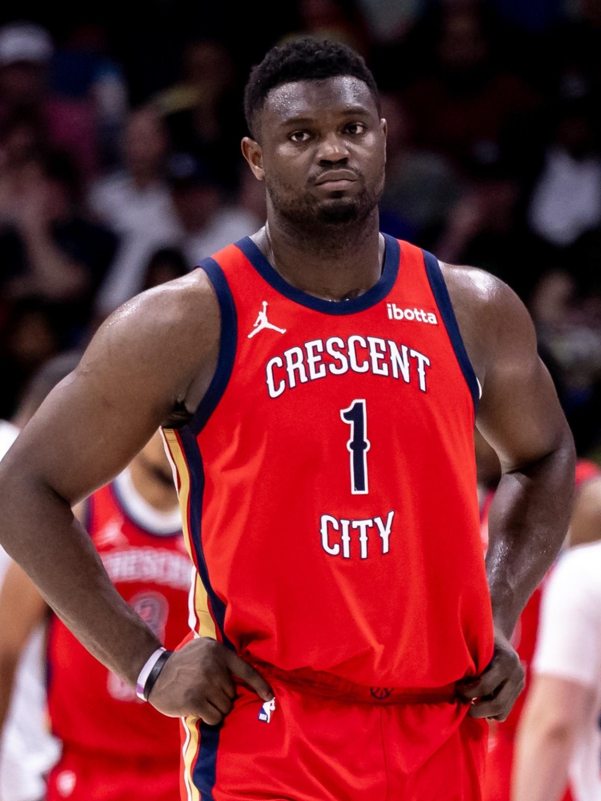 骑士逆转灰熊，锡安高光表现